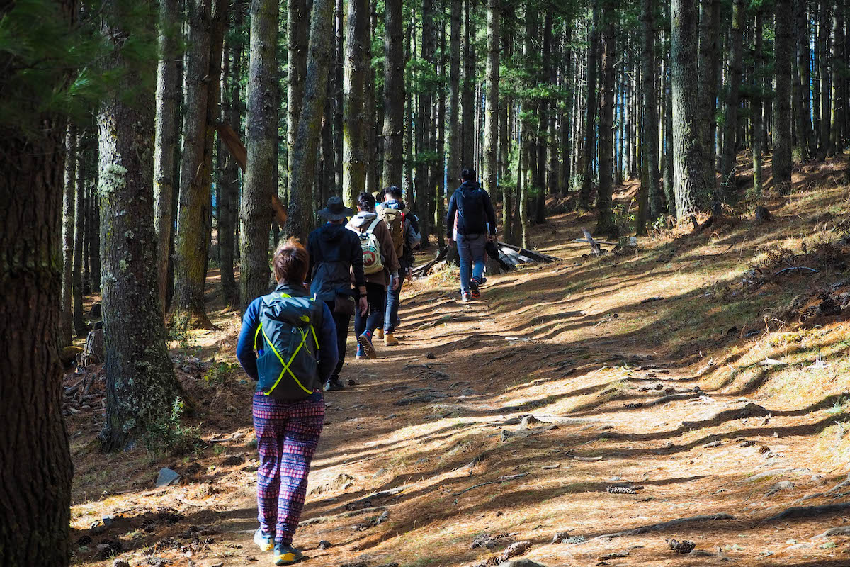 Trekking and camping