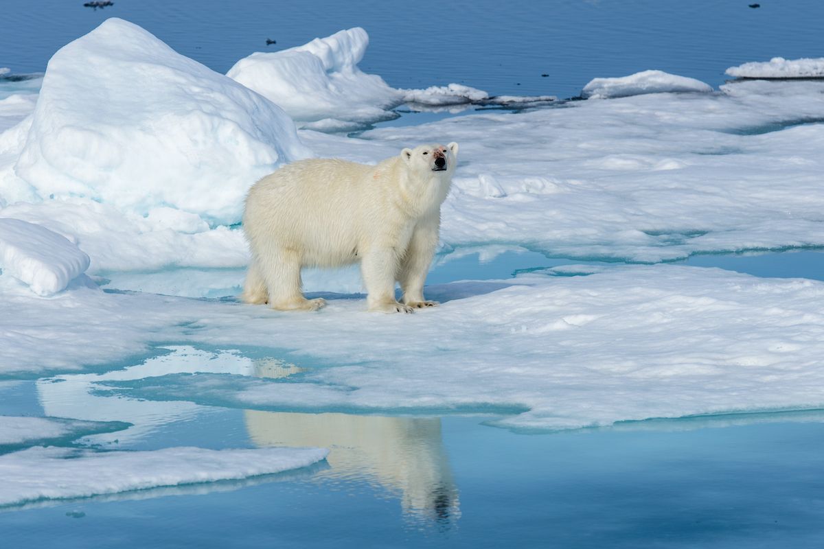 Arctic_explore_experience_4