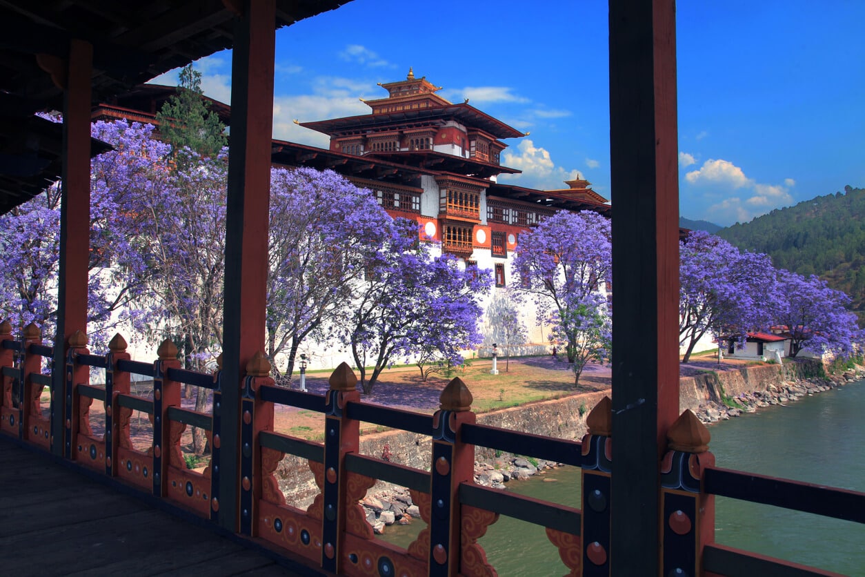 Punakha Dzong_Bhutan