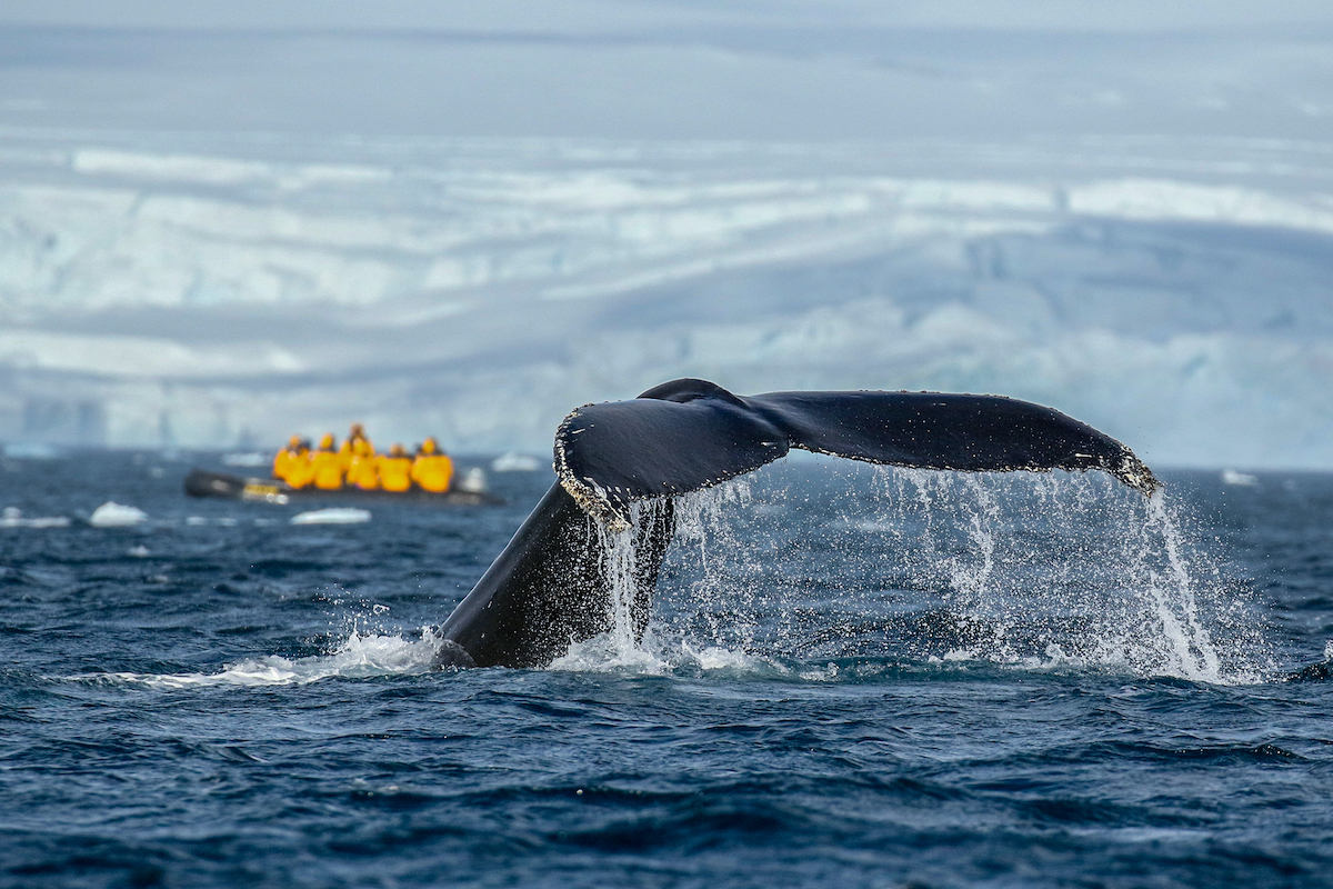 Antarctica_explore_10