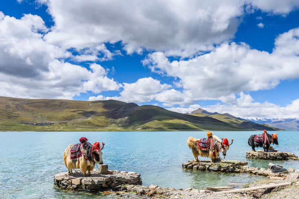 Yamzho Yumco_Tibet