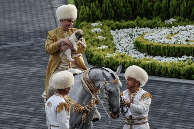 中亞_CentralAsia_中亞牧羊犬10