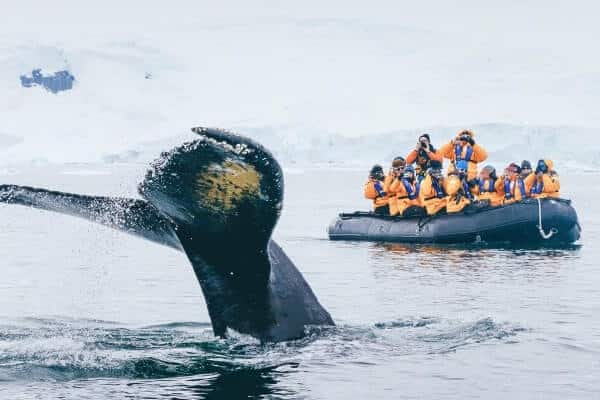 antarctica 03