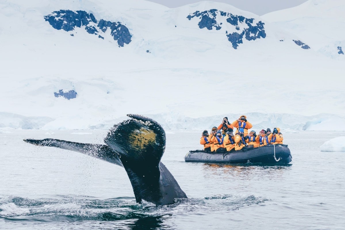 Antarctica04