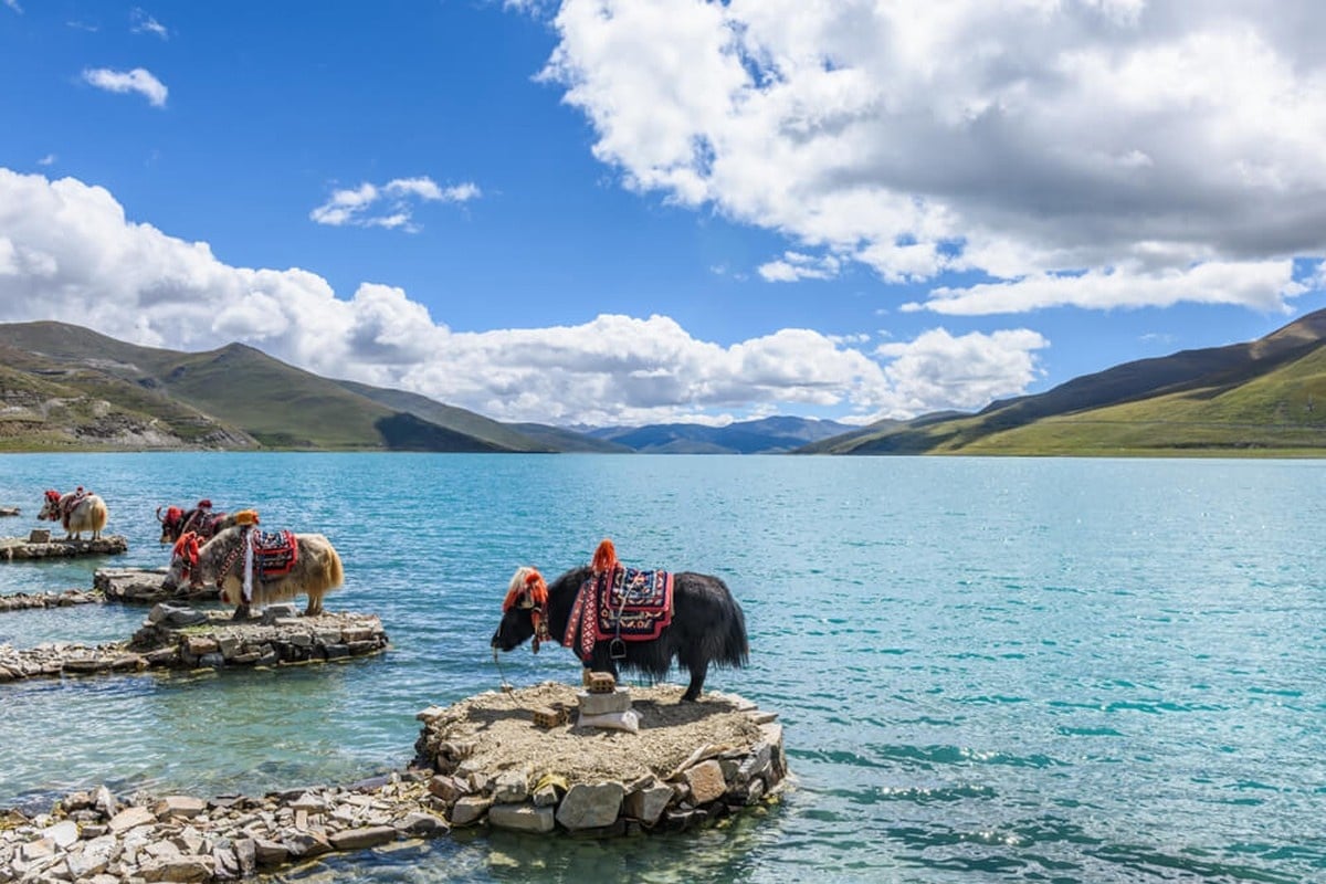 Tibet04